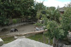 Enclos des tapirs malais et des cerfs axis et enclos des binturongs au premier plan