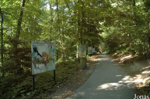 Sentier forestier parsemé de panneaux pédagogiques