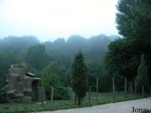 Enclos des hamadryas recouvert d'un brouillard matinal