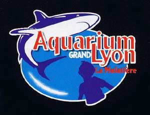 Logo 2003