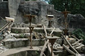 Ancien rocher des singes, transformé pour accueillir des coatis et des ratons laveurs