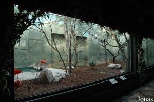 Ancien bâtiment des okapis, reconverti en présentation sud-américaine