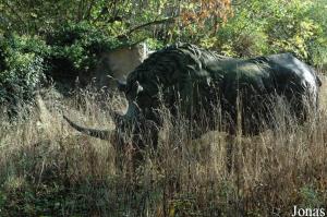 Statue de rhinocéros laineux dans l'ancien enclos des rhinocéros