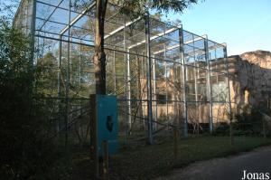 Cage des propithèques couronnés