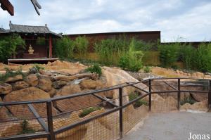 Installation extérieure des alligators de Chine