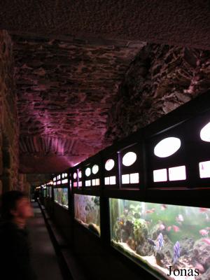 Aquarium et couloir de visite
