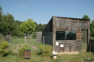 Enclos et bâtiment des autruches