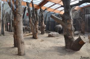 Nouveau bâtiment des éléphants