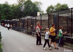 Cages des fauves