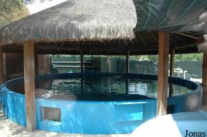 One of the pools of the rehabilitation centre