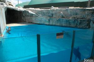 One of the pools for seals and sea lions