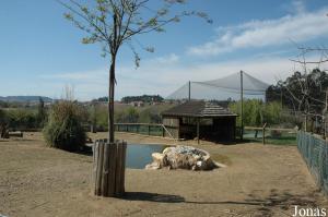 Exhibit of the wallabies and the emus