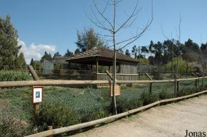 Exhibit for muntjacs, capybaras and flamingos