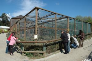 Cage of the Tonkean macaques