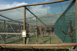 Cage of the silvery woolly monkey