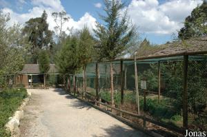 Bird area with different aviaries
