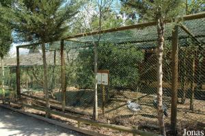 Aviary for southern screamers and blue eared-pheasants