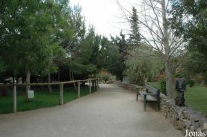 One of the pathways in the Parque Zoológico de Lagos