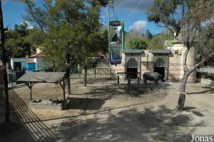 Indian rhinoceros exhibit