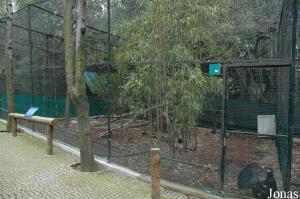 Aviary for Western capercaillies