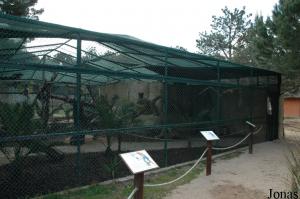 Walk-through aviary for macaws