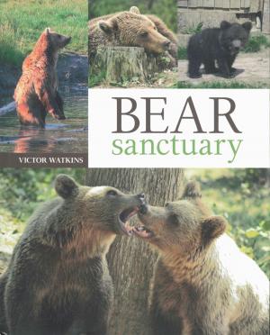 <strong>Bear Sanctuary</strong>, Victor Watkins, Bear Sanctuary Publications,  2011