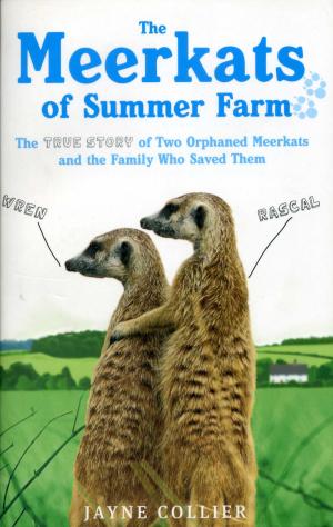 <strong>The Meerkats of Summer Farm</strong>, Jayne Collier, Sphere, London, 2011