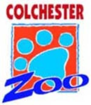 Logo 2002
