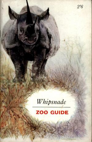 Guide 1961