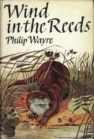 <strong>Wind in the Reeds</strong>, Philip Wayre, Collins, London, 1965