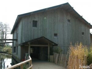 Maison des orangs-outans