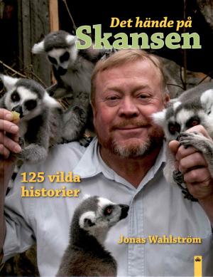 <strong>Det hände pa Skansen</strong>, 125 vilda historier, Jonas Wahlström, Trafik-Nostalgiska Förlaget, 2016
