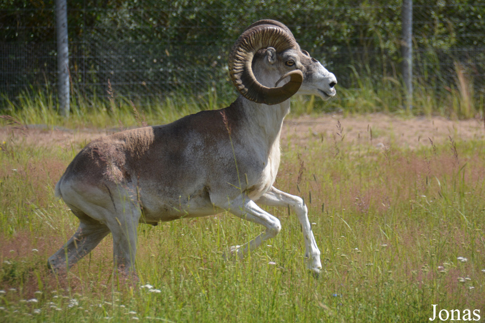 Moscow Zoo Centre for Rare Animals Reproduction (P)
