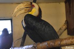 Bird Park Vorobyi