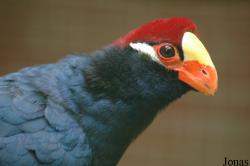 Tier- und Freizeitpark Thüle