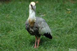 Tier- und Freizeitpark Thüle