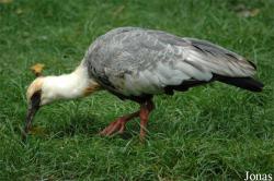 Tier- und Freizeitpark Thüle