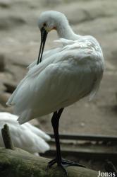 Tierpark Neumünster