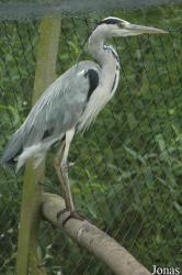 Vogelpark Niendorf