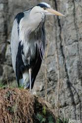 Zoo Basel