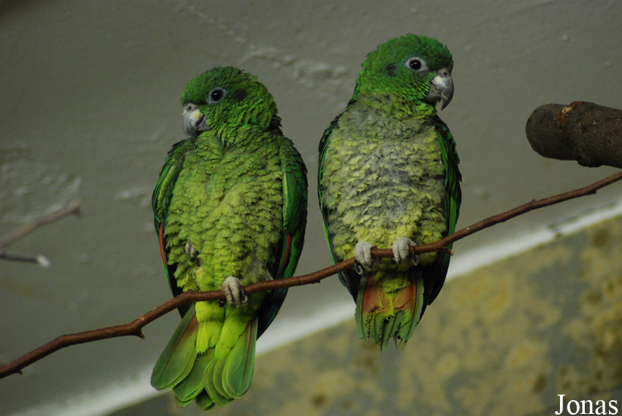 Zoo Wuppertal