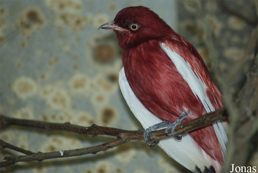 Zoo Wuppertal