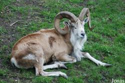 Podkrušnohorský Zoopark Chomutov