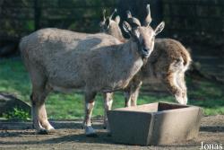 Zoologická zahrada Liberec