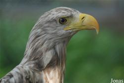 Ogród Fauny Polskiej Zoo