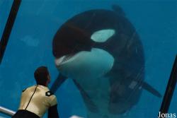 Marineland d'Antibes