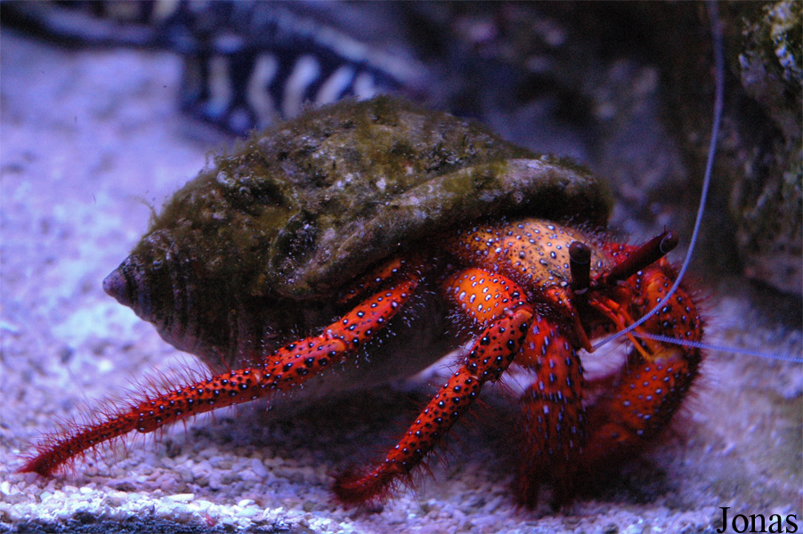 Aquarium de La Rochelle