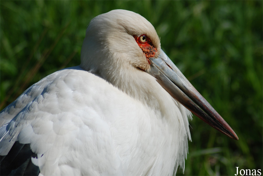 Zoo Zlín