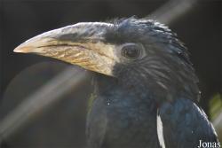 Zoo Zlín