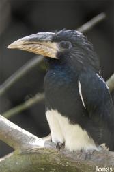 Zoo Zlín
